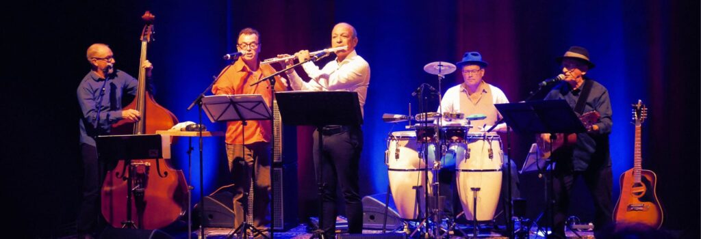 sonaros-cover1-bifald